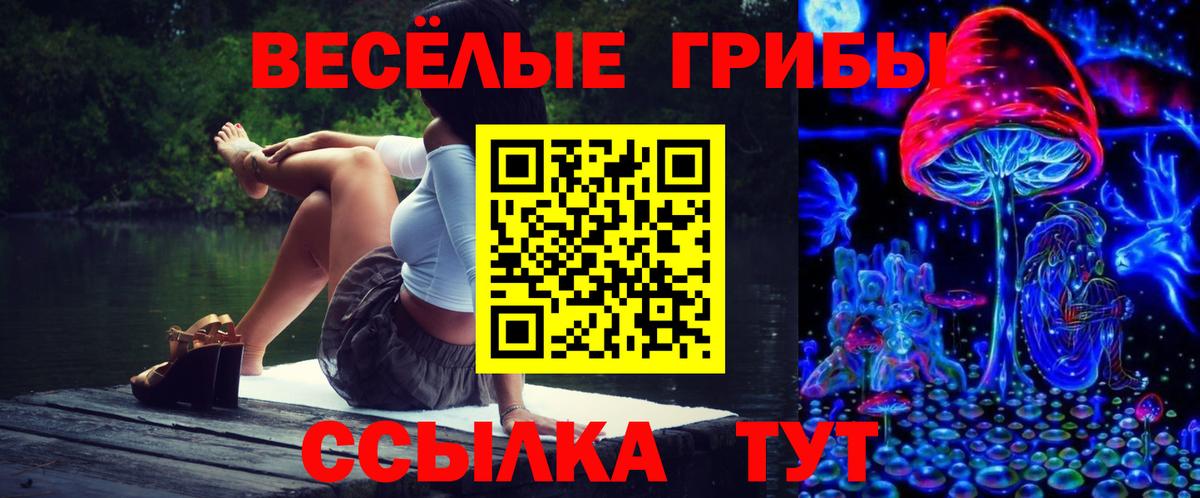  COCAIN Жуковский