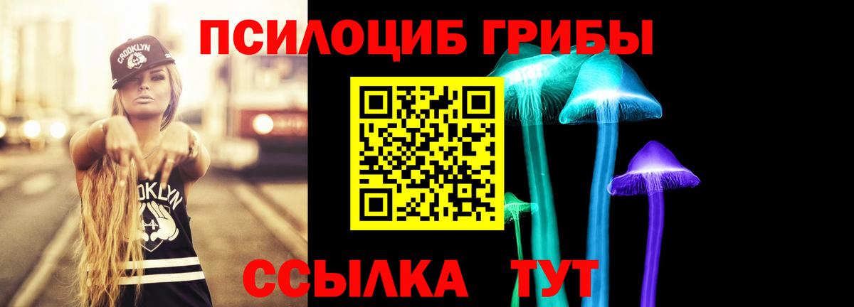 Псилоцибиновые грибы прущие грибы  Вход с VPN  Жуковский  Псилоцибиновые грибы Psilocybe 