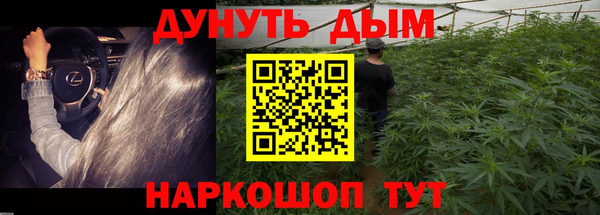 Бошки марихуана конопля  Вход с VPN  Каннабис гибрид  Канабис SATIVA & INDICA  Бошки марихуана планчик  Жуковский 